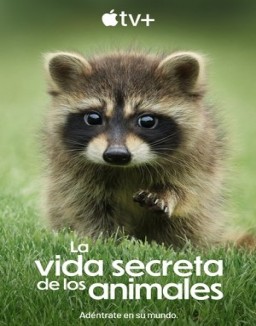 ver La vida secreta de los animales serie online