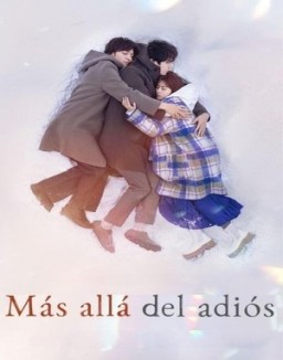 ver Más allá del adiós serie online
