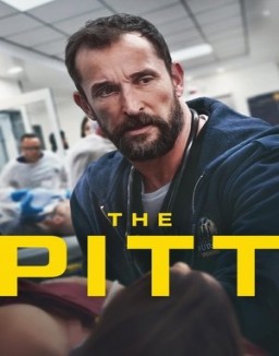 ver The Pitt serie online